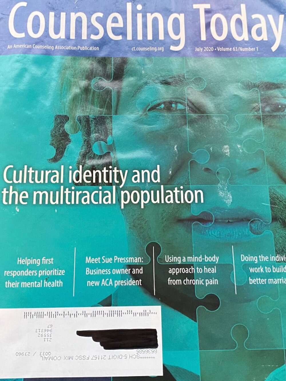 Counseling Today Magazine 7-2020 V. 63 N. 1- Cultural Identity and the Multiraci